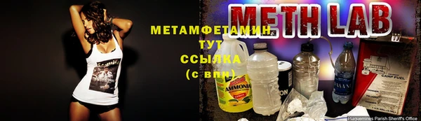 твердый Бородино