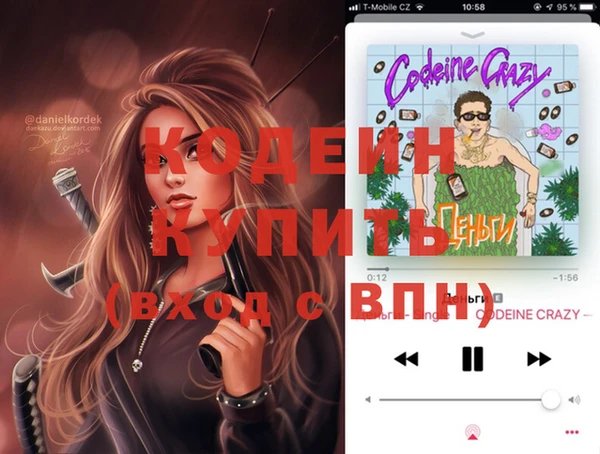 твердый Бородино