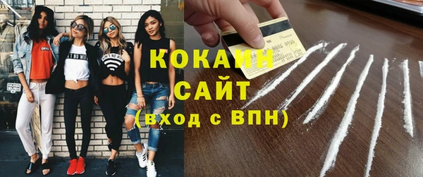 твердый Бородино