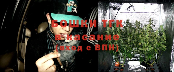 твердый Бородино