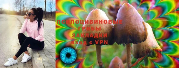 ешки Верея